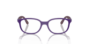 Clear Lenses, Polished Violet On Bordeaux Frame