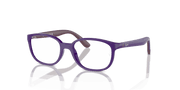 Clear Lenses, Polished Violet On Bordeaux Frame