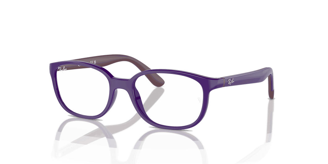 [Clear Lenses, Polished Violet On Bordeaux Frame]