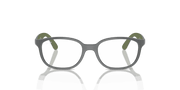 Clear Lenses, Polished Dark Grey On Green Frame