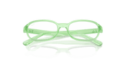 Clear Lenses, Polished Transparent Green Frame