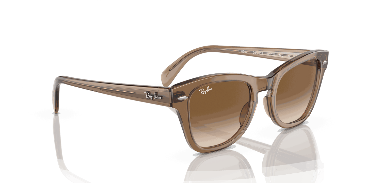 [Brown Lenses, Polished Transparent Light Brown Frame]