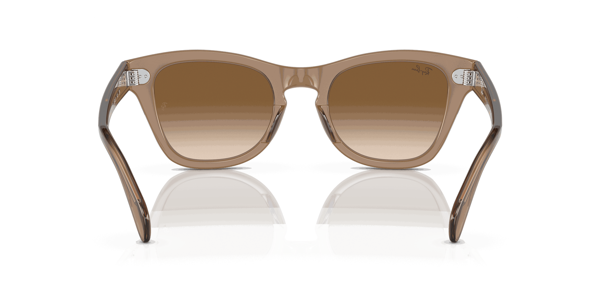 [Brown Lenses, Polished Transparent Light Brown Frame]