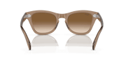 Brown Lenses, Polished Transparent Light Brown Frame