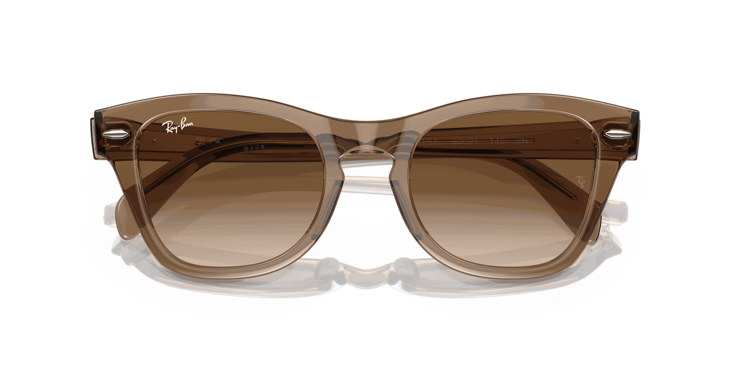 [Brown Lenses, Polished Transparent Light Brown Frame]