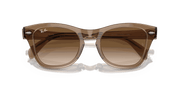 Brown Lenses, Polished Transparent Light Brown Frame