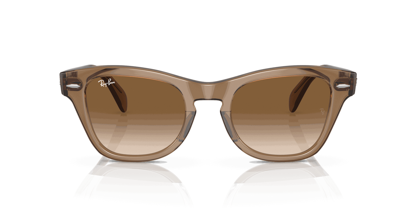 [Brown Lenses, Polished Transparent Light Brown Frame]