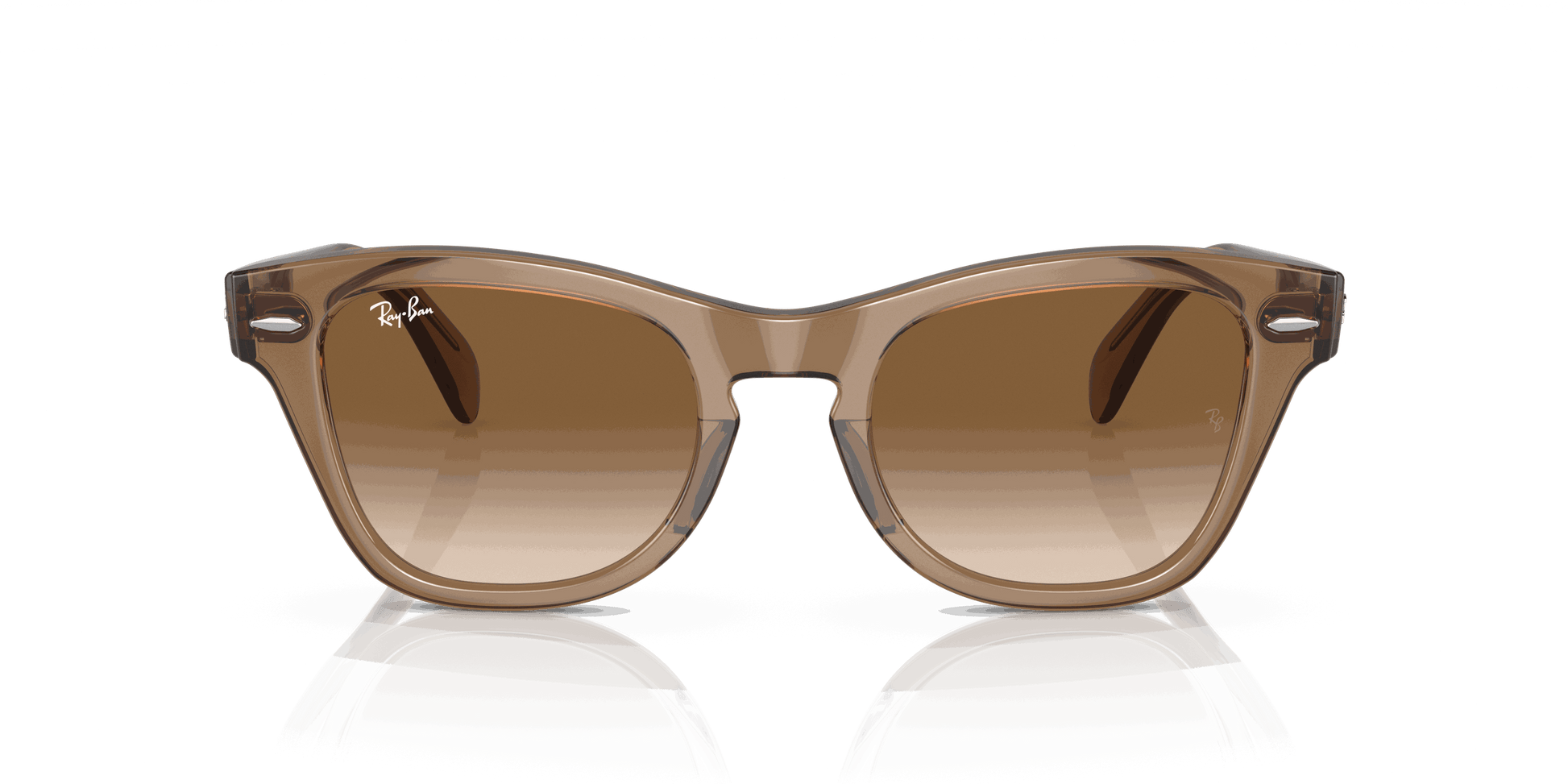 [Brown Lenses, Polished Transparent Light Brown Frame]