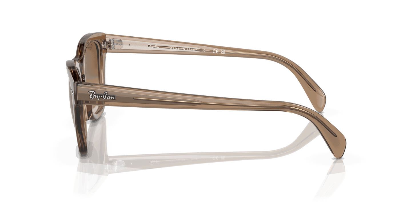 [Brown Lenses, Polished Transparent Light Brown Frame]