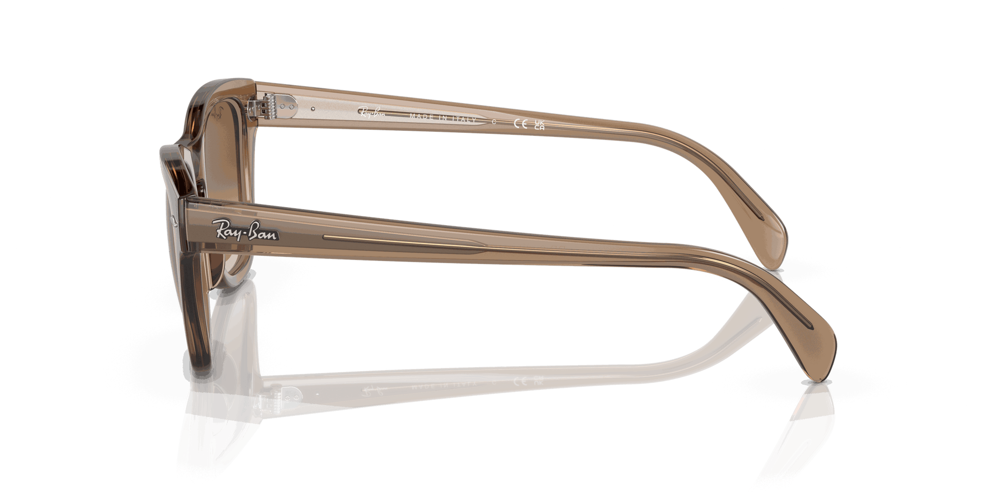 [Brown Lenses, Polished Transparent Light Brown Frame]