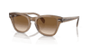 [Brown Lenses, Polished Transparent Light Brown Frame]