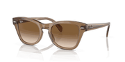 Brown Lenses, Polished Transparent Light Brown Frame