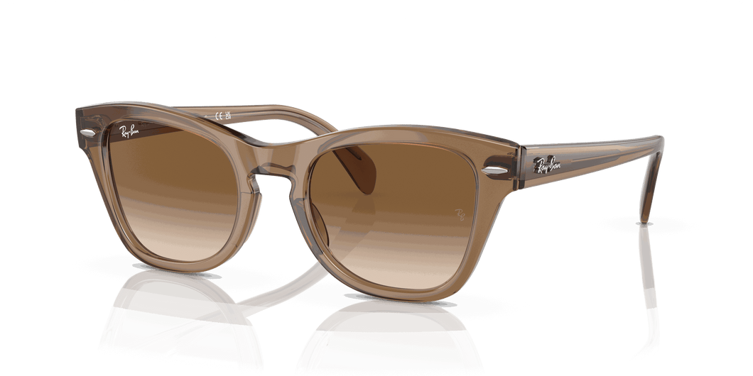 [Brown Lenses, Polished Transparent Light Brown Frame]