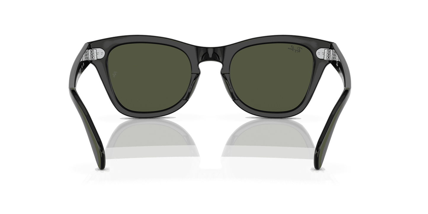 [Green Lenses, Polished Black Frame]