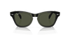 [Green Lenses, Polished Black Frame]