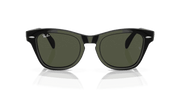 Green Lenses, Polished Black Frame