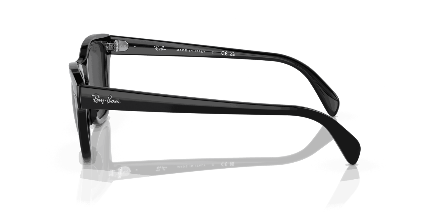 [Black Lenses, Polished Black Frame]