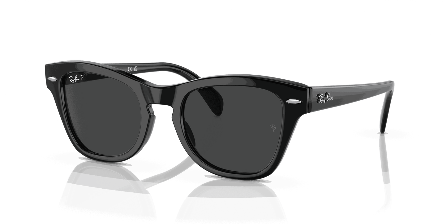 [Black Lenses, Polished Black Frame]