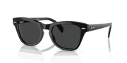 Black Lenses, Polished Black Frame