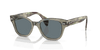 [Dark Blue Lenses, Polished Transparent Green Frame]