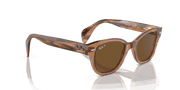 Brown Lenses, Polished Transparent Brown Frame