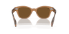 [Brown Lenses, Polished Transparent Brown Frame]