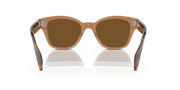 Brown Lenses, Polished Transparent Brown Frame