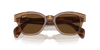 [Brown Lenses, Polished Transparent Brown Frame]