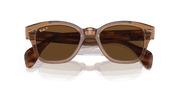 Brown Lenses, Polished Transparent Brown Frame