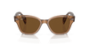 [Brown Lenses, Polished Transparent Brown Frame]