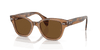 [Brown Lenses, Polished Transparent Brown Frame]