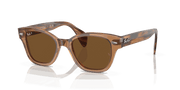 Brown Lenses, Polished Transparent Brown Frame