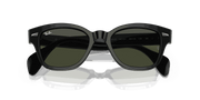 Green Lenses, Polished Black Frame