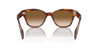 [Brown Lenses, Polished Striped Havana Frame]