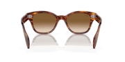 Brown Lenses, Polished Striped Havana Frame