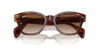 [Brown Lenses, Polished Striped Havana Frame]