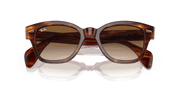 Brown Lenses, Polished Striped Havana Frame