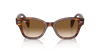 [Brown Lenses, Polished Striped Havana Frame]