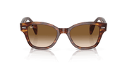 Brown Lenses, Polished Striped Havana Frame