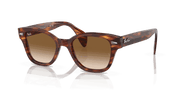 Brown Lenses, Polished Striped Havana Frame