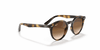 [Dark Brown Lenses, Polished Havana Frame]