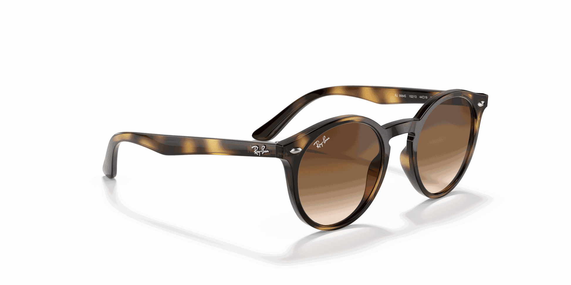 [Dark Brown Lenses, Polished Havana Frame]