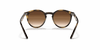 [Dark Brown Lenses, Polished Havana Frame]