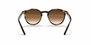 Dark Brown Lenses, Polished Havana Frame