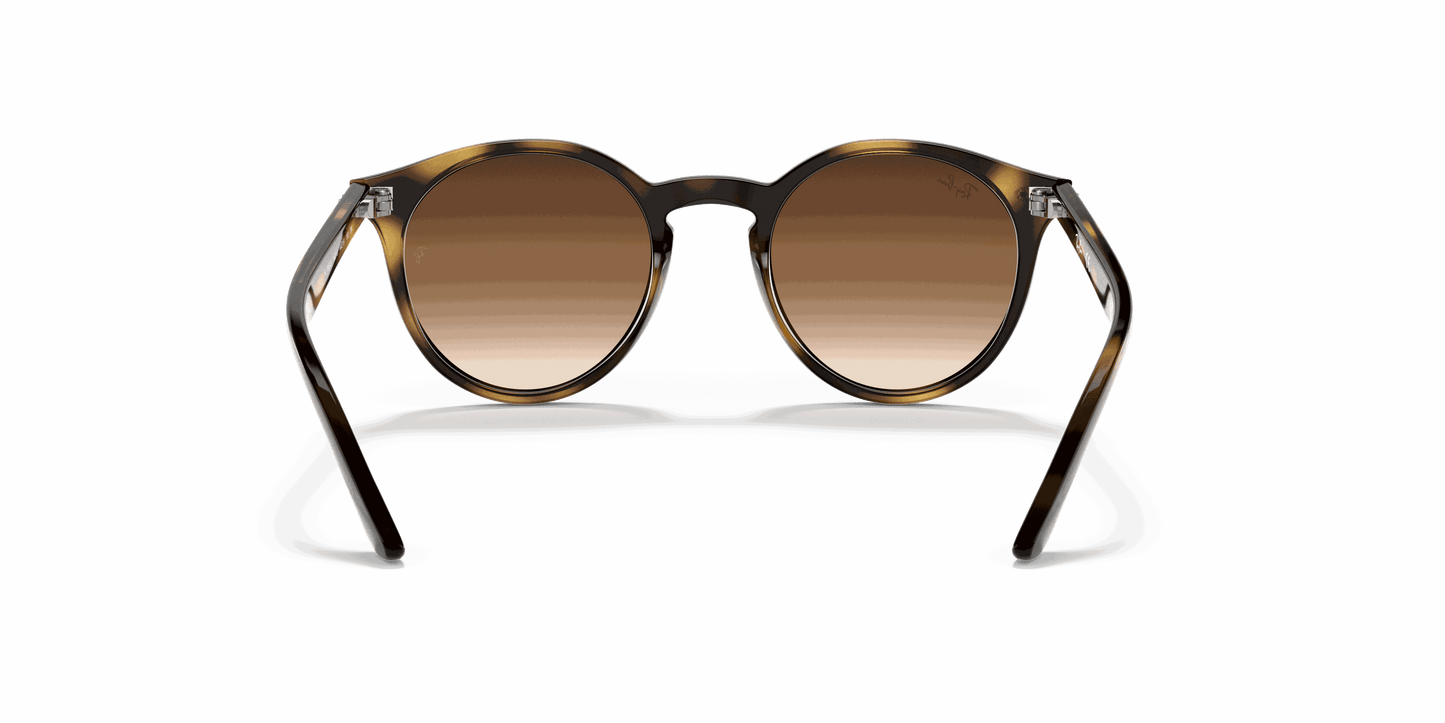 [Dark Brown Lenses, Polished Havana Frame]