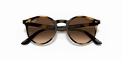 Dark Brown Lenses, Polished Havana Frame