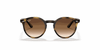 [Dark Brown Lenses, Polished Havana Frame]