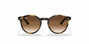 Dark Brown Lenses, Polished Havana Frame