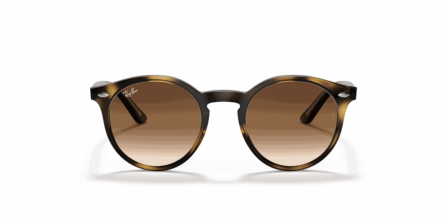 [Dark Brown Lenses, Polished Havana Frame]
