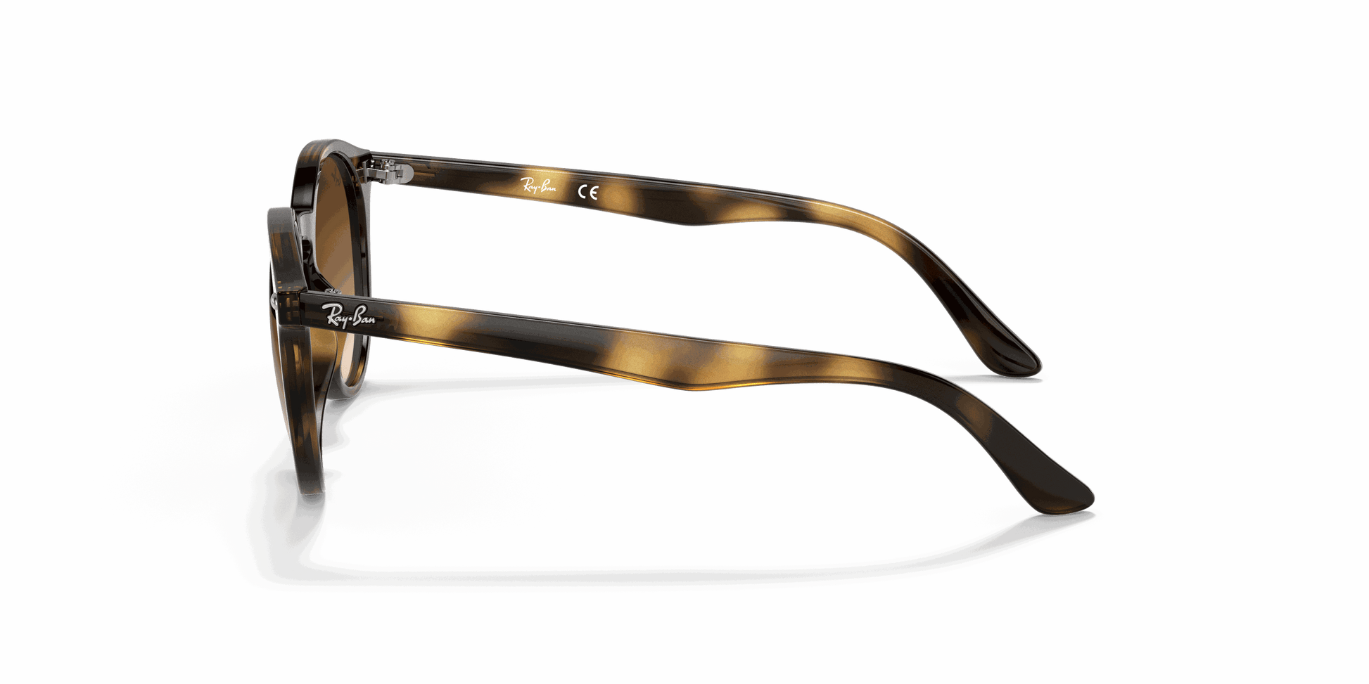 [Dark Brown Lenses, Polished Havana Frame]